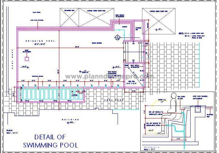 Swimming Pool CAD Design- Kids Pool and Jacuzzi Area